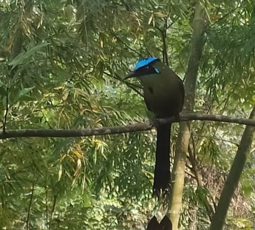 Descubre la buitrera 19