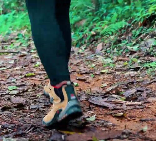 Visita la buitrera vídeo